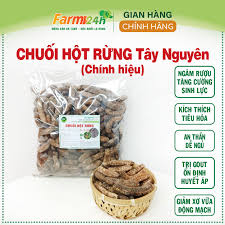 Chuối Hột Rừng Tây Nguyên